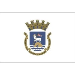 4ft. X 6ft. City Of San Juan Flag