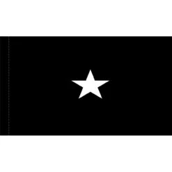 4ft. X 6ft. Space Force 1 Star General Flag W/Grommets