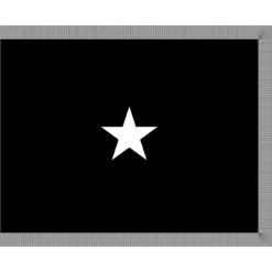 4ft. X 6ft. Space Force 1 Star General Flag Indoor W/ Fringe