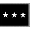 4ft. X 6ft. Space Force 3 Star General Flag Indoor W/ Fringe -FlagCenter shop Space Force 3 Star Fringed v0u0 ya