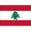 2ft. X 3ft. Lebanon Flag With Side Pole Sleeve 2 2ft. X 3ft. Lebanon Flag With Side Pole Sleeve -FlagCenter shop lebanon flag wx6l vf